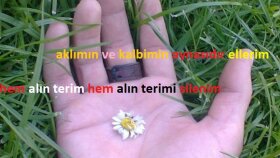 Metin Yazarlığı