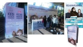 Uluslararası Kedi Hekimliği Kongresi Organizasyon Tasarımı