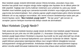 İngilizce metinlerinizi Türkçeye çeviririm