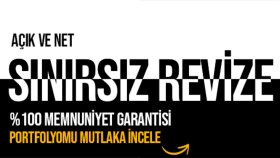 domain + hosting dahil profesyonel web siteleri geliştiririm