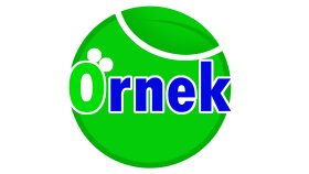 Örnek logo çalışmaları