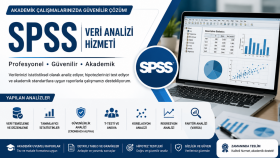 spss ile profesyonel veri analizi yapabilirim