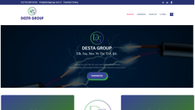 Desta Group Holding - Web Master
