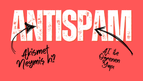 Wordpress Antispam Eklentisi