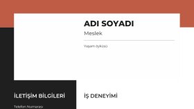 özgeçmişinizi etkileyici bir şekilde hazırlarım