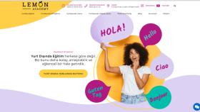Lemon Academy- Detaylı SEO Yol Haritası Raporlaması