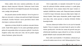 Yalnızca Betimleme