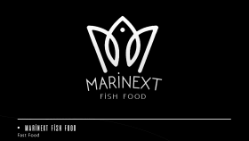 Marinext Logo Çalışması