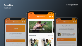 DeneBox Mobil Uygulama Tasarımı - Mobil UI 