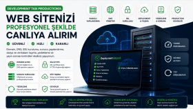 web sitenizi profesyonel şekilde canlıya alırım