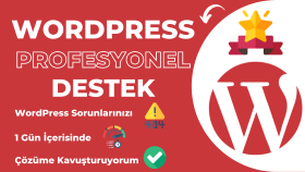 WordPress sitenizdeki tüm hata ve sorunları çözerim