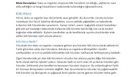 Medicana - Sağlık Rehberi Projesi