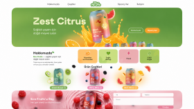 Eco Fruits – Meyve Suyu Web Arayüz Tasarımı