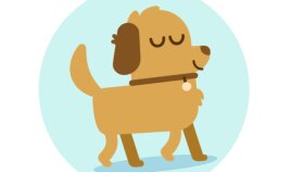 Köpek yürüme animasyonu - Lottie
