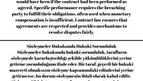 Profesyonel İngilizce-Almanca-Fransızca Çevirmen