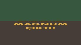 Magnum