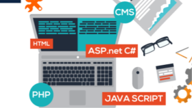 profesyonel web yazılımları yaparım