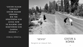 iyi broşür tasarlarım