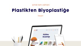 Web Sitesi Tasarımı