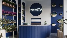 PEONİDA 