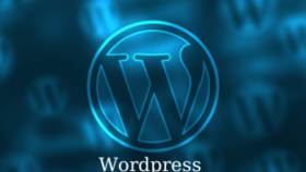 Wordpress alanında kurulum revize
