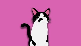 İllüstrasyon Kedi Çizimi