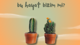 özgün ve yaratıcı sosyal medya tasarımları yapabilirim