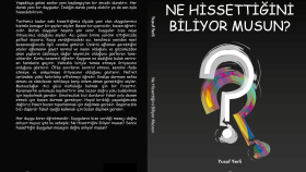 Ne Hissetiğini Biliyor Musun - Kapak ve Mizanpaj 