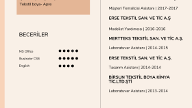 Merve Aydın-CV Tasarımı