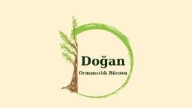Logo Tasarımları