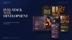 özel kodlanmış full-stack web siteleri yaparım