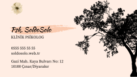 Psikiyatri SoldoSolo