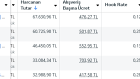 Meta Reklamları Uzmanı