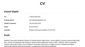 Profesyonel ve ATS Uyumlu CV Hazırlama