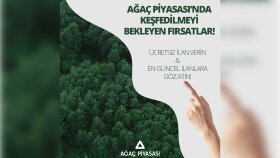 Ağaç Piyasası - Instagram Reklamı