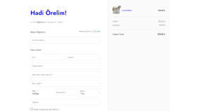 Wordpress Site