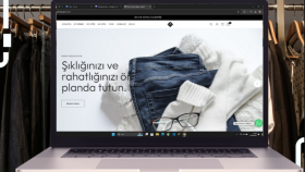 hızlı şekilde web sitesi yaparım