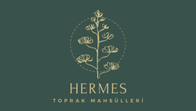 Özgün Logo Tasarımı