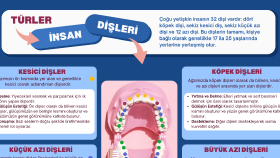 Ersöz Diş Kliniği için Hazırladığım Broşür Çalışmaları