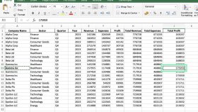 amacınıza uygun müşteri verisi (data) toplayabilirim