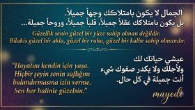 profesyonel Türkçe ve Arapça çeviri yapıyorum