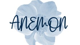 Anemon Tasarım Logo Çalışması