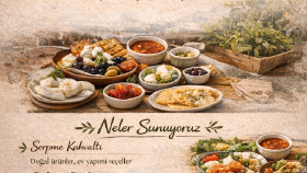 Sosyal medya tasarımı 
