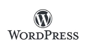 Wordpress için eklenti yazabilirim