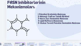 sunum hazırlama 