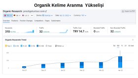 Seo çalışması sonucu doğal kelimelerdeki yükseliş raporu