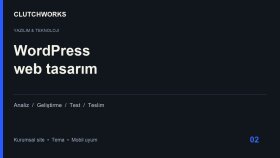 profesyonel WordPress sitesi kurar ve geliştiririm