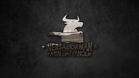istediğiniz tarzda logoyu tasarlayabilirim