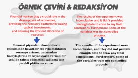   çeviri yaparım