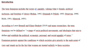 Feminism & Cinema Essay
